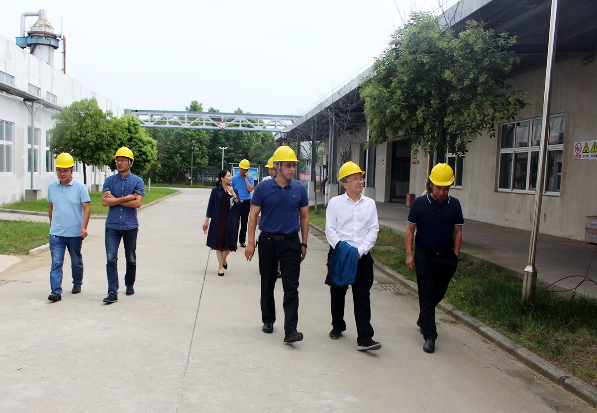 孙洪武副院长一行赴开云手机注册_开云（中国）公司督查指导安全生产工作