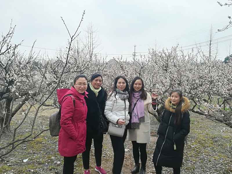 开云手机注册_开云（中国）工会开展庆“三八”踏春赏梅活动